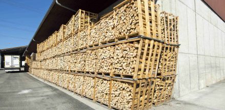 Holz und Holzlager bei Aigner in Haag